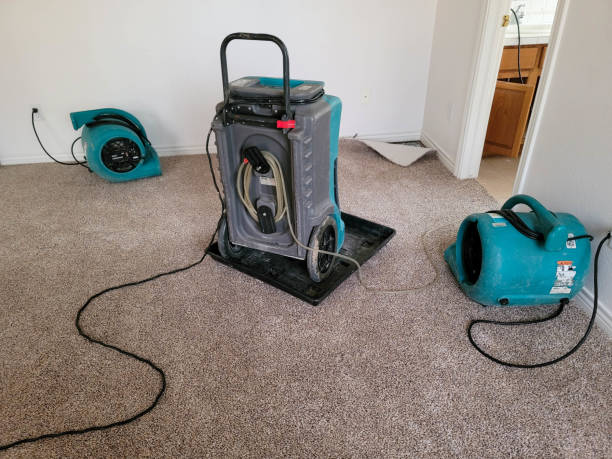 Best Water damage contractors near me  in Scotia, NY