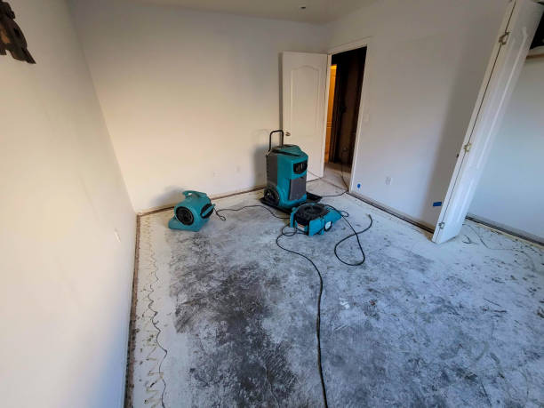 Best Water damage restoration near me  in Scotia, NY