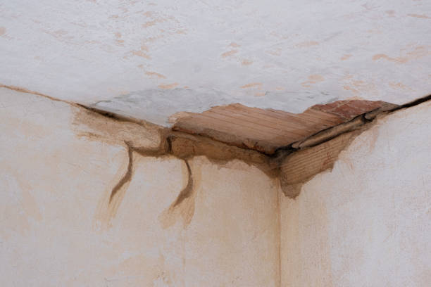 Best 24/7 water damage repair  in Scotia, NY