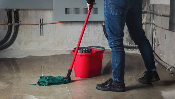 Best Flooded house restoration  in Scotia, NY