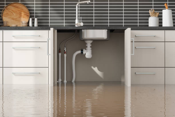 Best Ceiling water damage repair  in Scotia, NY